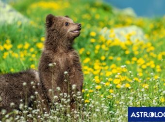 Διάβασε την προσωπική σου πρόβλεψη, για σήμερα 28/03/2025