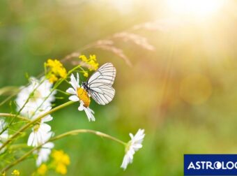 Διάβασε την προσωπική σου πρόβλεψη, για σήμερα 07/03/2025