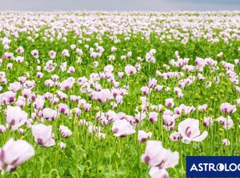 Διάβασε την προσωπική σου πρόβλεψη, για σήμερα 27/03/2025