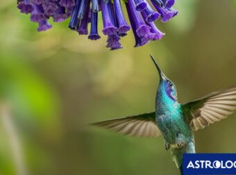 Διάβασε την προσωπική σου πρόβλεψη, για σήμερα 08/03/2025