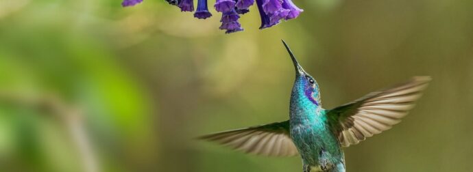 Διάβασε την προσωπική σου πρόβλεψη, για σήμερα 08/03/2025