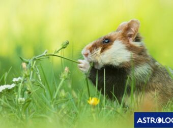 Διάβασε την προσωπική σου πρόβλεψη, για σήμερα 14/03/2025