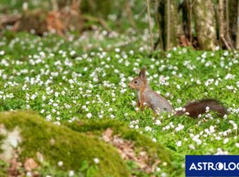 Διάβασε την προσωπική σου πρόβλεψη, για σήμερα 02/03/2025