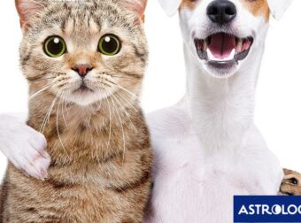 Ταύρος, Παρθένος, Αιγόκερως: Έτσι θα κάνεις ανακωχή μαζί τους