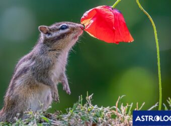 Διάβασε την προσωπική σου πρόβλεψη, για σήμερα 24/03/2025