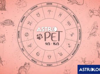 AstroPet από 09/03 έως 15/03: Εβδομαδιαίες προβλέψεις για το κατοικίδιό σου
