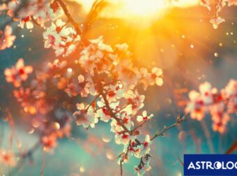 Κινέζικη αστρολογία 2025: Προβλέψεις των ζωδίων από 29/03 έως 27/04