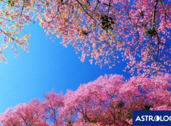 Διάβασε την προσωπική σου πρόβλεψη, για σήμερα 01/04/2025