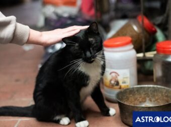 Ζώδια Σήμερα 24/04: Με δοτικότητα και καλή προαίρεση