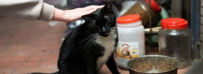 Ζώδια Σήμερα 24/04: Με δοτικότητα και καλή προαίρεση