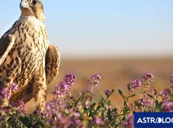 Διάβασε την προσωπική σου πρόβλεψη, για σήμερα 24/04/2025