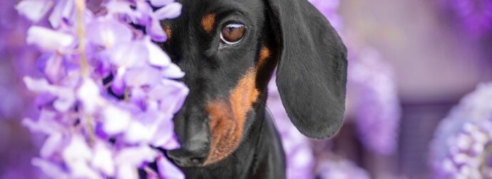 Διάβασε την προσωπική σου πρόβλεψη, για σήμερα 30/04/2025