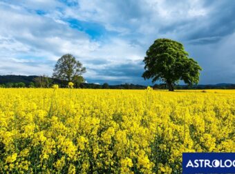 Διάβασε την προσωπική σου πρόβλεψη, για σήμερα 07/04/2025