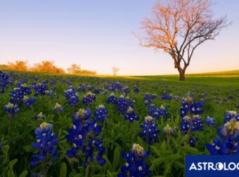 Διάβασε την προσωπική σου πρόβλεψη, για σήμερα 03/04/2025