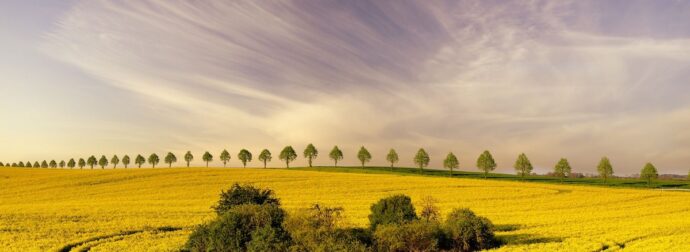 Διάβασε την προσωπική σου πρόβλεψη, για σήμερα 27/04/2025