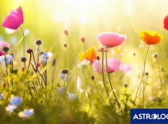 Διάβασε την προσωπική σου πρόβλεψη, για σήμερα 17/04/2025