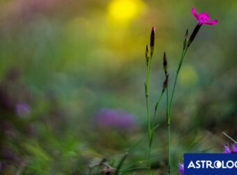 Διάβασε την προσωπική σου πρόβλεψη, για σήμερα 21/04/2025