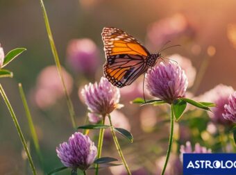 Διάβασε την προσωπική σου πρόβλεψη, για σήμερα 25/04/2025