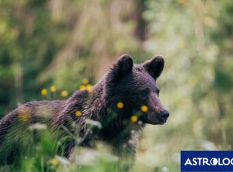 Διάβασε την προσωπική σου πρόβλεψη, για σήμερα 08/04/2025