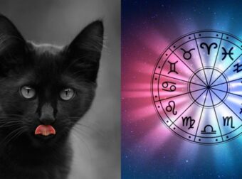 Δεν τους πάει τiποτα καλά, βρίσκουν συνέχεια εμπóδια: Αυτοί είναι οι… μαυρόγατες του ζωδιακού – Ιδού τα δύο πιο άτυχα ζώδια
