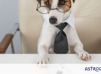 4 ζώδια που δε συμβαδίζουν με τους κανόνες και 2 που δεν ξεφεύγουν ούτε πόντο