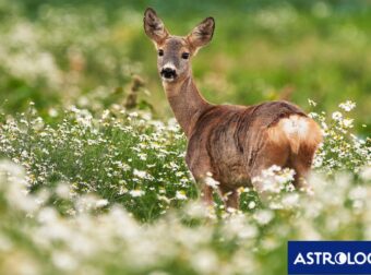 Διάβασε την προσωπική σου πρόβλεψη, για σήμερα 14/04/2025
