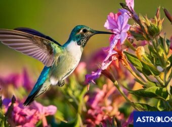 Διάβασε την προσωπική σου πρόβλεψη, για σήμερα 10/04/2025