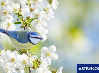 Διάβασε την προσωπική σου πρόβλεψη, για σήμερα 06/04/2025