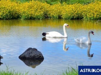 Διάβασε την προσωπική σου πρόβλεψη, για σήμερα 12/04/2025