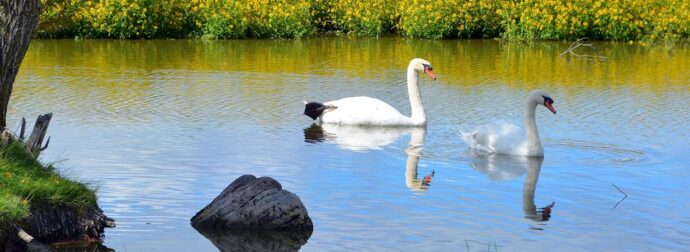 Διάβασε την προσωπική σου πρόβλεψη, για σήμερα 12/04/2025