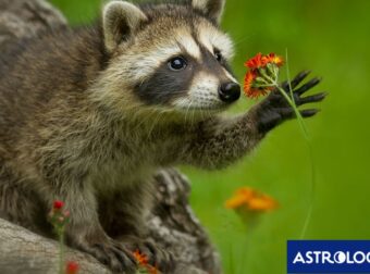 Διάβασε την προσωπική σου πρόβλεψη, για σήμερα 04/04/2025