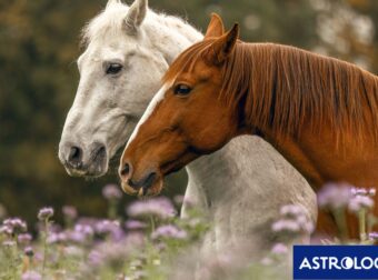 Διάβασε την προσωπική σου πρόβλεψη, για σήμερα 28/04/2025