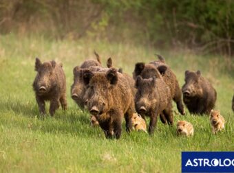Διάβασε την προσωπική σου πρόβλεψη, για σήμερα 22/04/2025