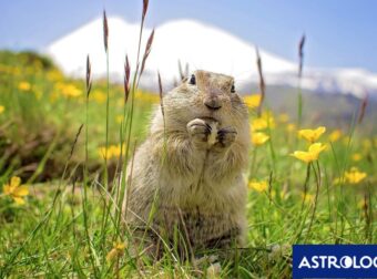 Διάβασε την προσωπική σου πρόβλεψη, για σήμερα 26/04/2025