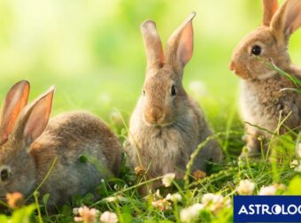 Διάβασε την προσωπική σου πρόβλεψη, για σήμερα 20/04/2025