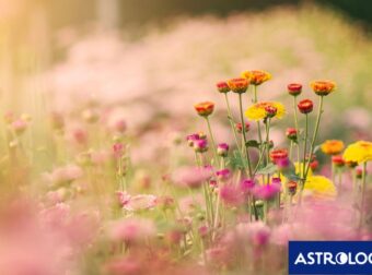 Διάβασε την προσωπική σου πρόβλεψη, για σήμερα 05/04/2025