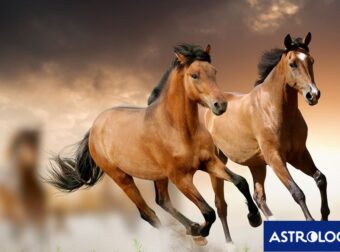 Ζώδια Σήμερα 09/04: Τέλος στα πισωγυρίσματα