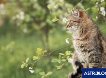 Διάβασε την προσωπική σου πρόβλεψη, για σήμερα 18/04/2025