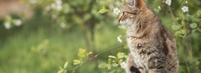 Διάβασε την προσωπική σου πρόβλεψη, για σήμερα 18/04/2025