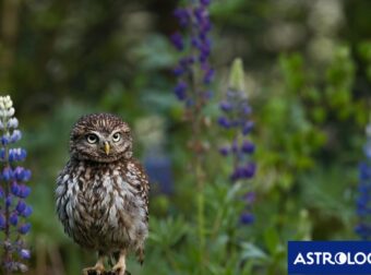 Διάβασε την προσωπική σου πρόβλεψη, για σήμερα 20/05/2025