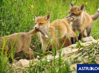 Διάβασε την προσωπική σου πρόβλεψη, για σήμερα 04/05/2025