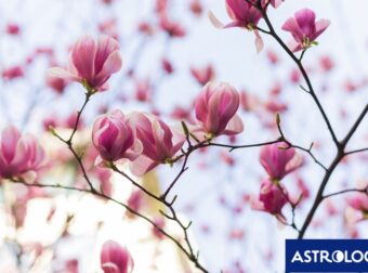 Διάβασε την προσωπική σου πρόβλεψη, για σήμερα 23/05/2025