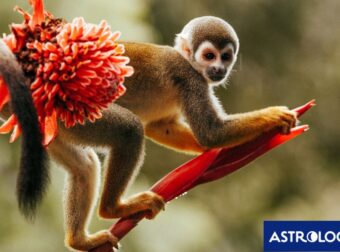 Διάβασε την προσωπική σου πρόβλεψη, για σήμερα 02/05/2025