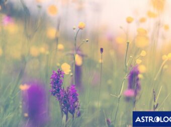 Διάβασε την προσωπική σου πρόβλεψη, για σήμερα 09/05/2025