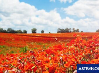 Διάβασε την προσωπική σου πρόβλεψη, για σήμερα 21/05/2025