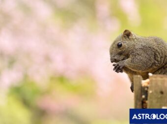 Διάβασε την προσωπική σου πρόβλεψη, για σήμερα 28/05/2025