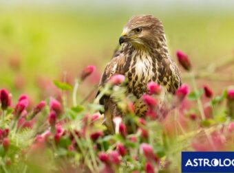 Διάβασε την προσωπική σου πρόβλεψη, για σήμερα 26/05/2025