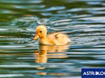 Διάβασε την προσωπική σου πρόβλεψη, για σήμερα 08/05/2025