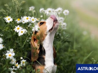Διάβασε την προσωπική σου πρόβλεψη, για σήμερα 06/05/2025