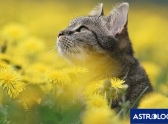Διάβασε την προσωπική σου πρόβλεψη, για σήμερα 16/05/2025